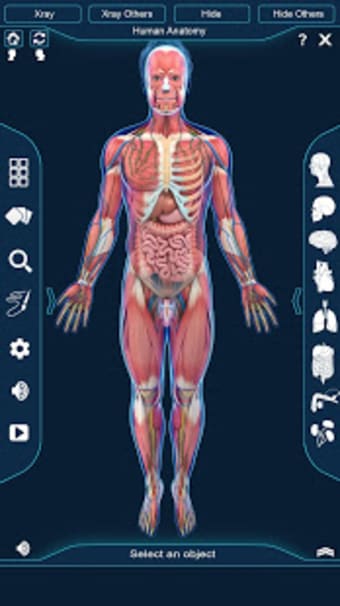 Image 2 for Human Anatomy