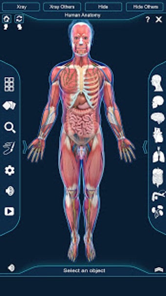Image 0 for Human Anatomy