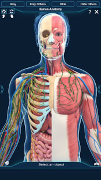 Image 1 for Human Anatomy