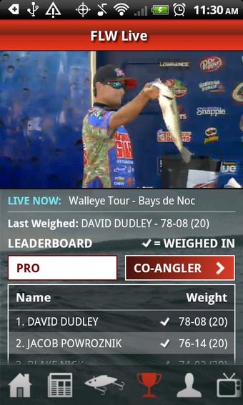 Image 3 for FLW