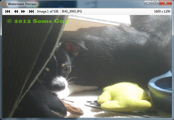 Imagen 1 para Bulk Watermark Tool