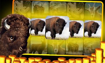 Image 0 for Buffalo Slot Machine : Ca…