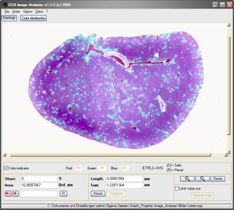 Image 0 for GSA Image Analyser
