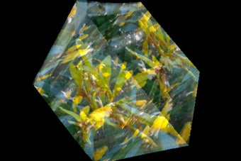 Image 3 for Be in the Cube