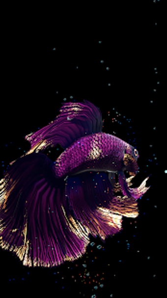 Imagen 1 para Betta Fish Live Wallpaper…