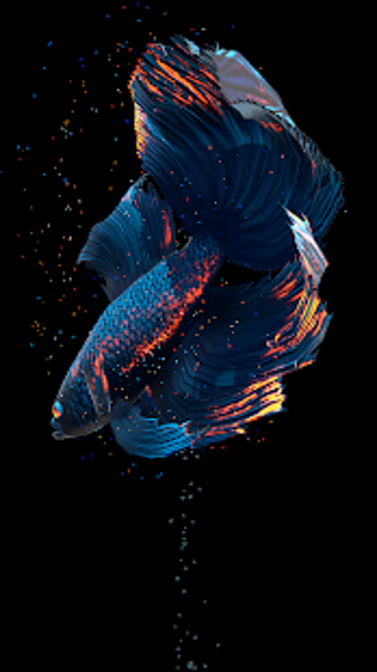 Imagen 0 para Betta Fish Live Wallpaper…