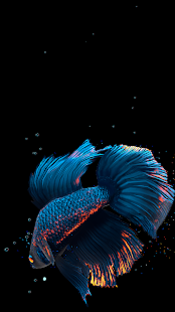 Imagen 2 para Betta Fish Live Wallpaper…