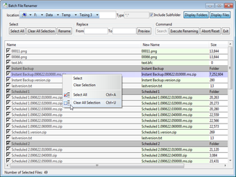 Image 0 for Risingware Batch Renamer
