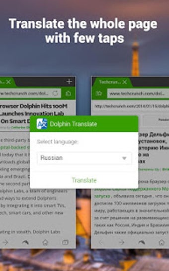 Image 1 for Dolphin | YeeCloud Transl…