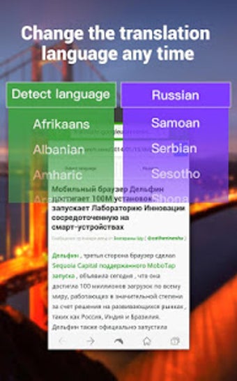 Image 0 for Dolphin | YeeCloud Transl…
