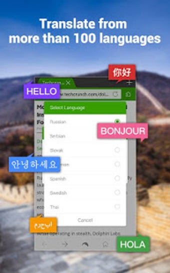 Image 3 for Dolphin | YeeCloud Transl…