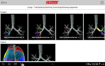 Imagen 1 para Lungs - Digital Anatomy A…