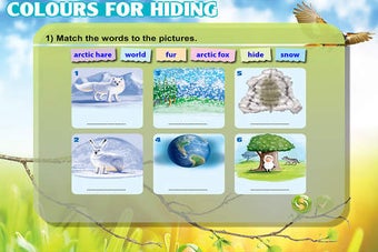 Imagen 0 para Animal Camouflage - CLIL …