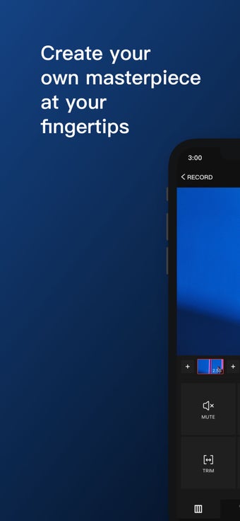 Image 3 for VUE - Video Camera and Ed…