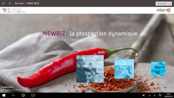 Image 0 for ELAN for Windows 10