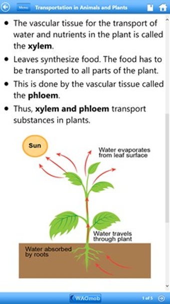 Imagen 0 para Grade 7 Science by WAGmob…