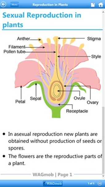 Imagen 1 para Grade 7 Science by WAGmob…