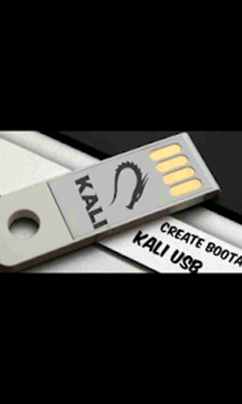 Image 2 for kali linux setup usb boot…