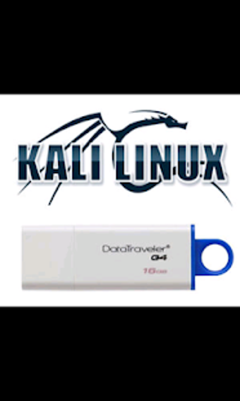 Image 1 for kali linux setup usb boot…