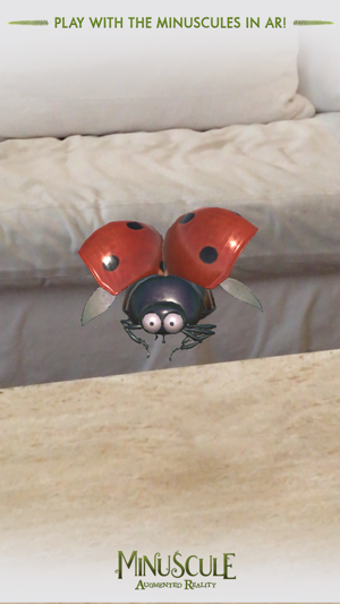 Imagen 0 para Minuscule AR