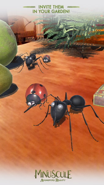 Imagen 1 para Minuscule AR