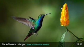 Imagen 3 para Live Gallery for Windows …