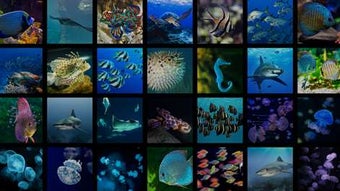 Imagen 1 para Live Gallery for Windows …