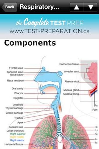 Imagen 2 para TEAS Complete Study Guide