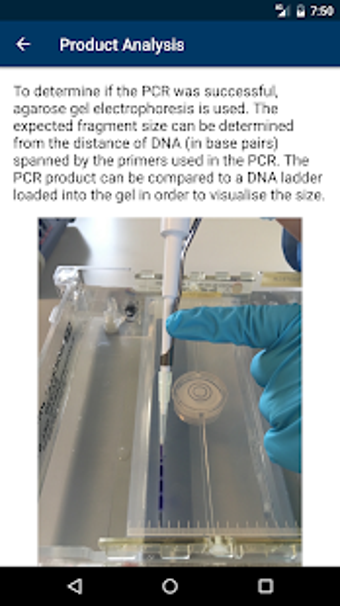 Image 0 for Molecular Methods