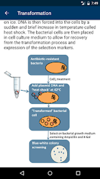 Image 1 for Molecular Methods