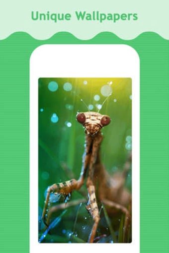 Imagen 0 para Photography Backgrounds A…