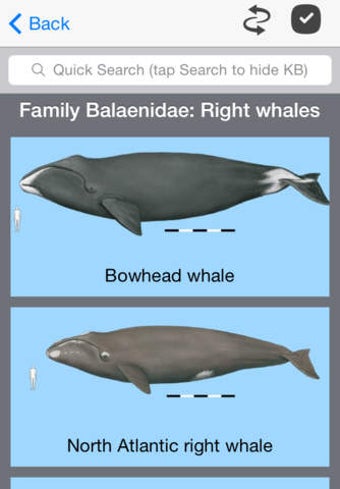 Imagen 0 para Dolphins and Whales World…