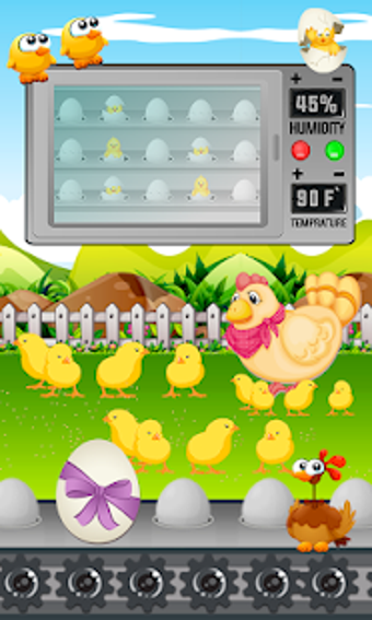 Image 3 for Chicken and Duck Poultry …