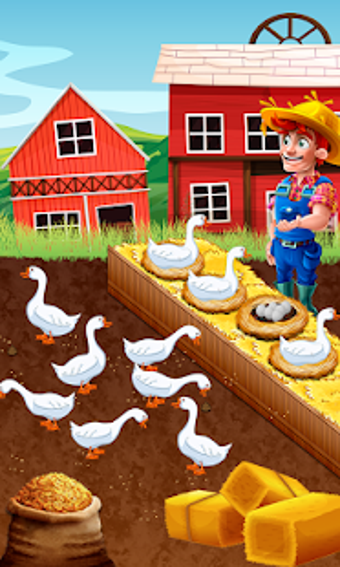 Image 1 for Chicken and Duck Poultry …