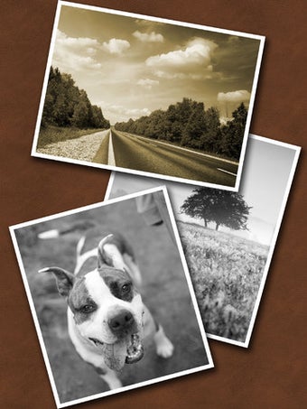 Image 2 for Toon FX Camera free