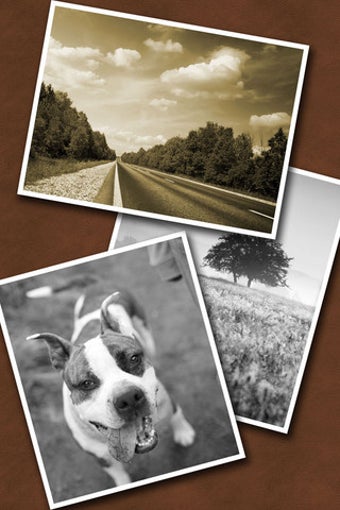 Image 4 for Toon FX Camera free