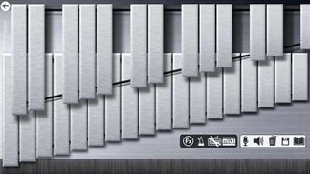 Imagen 2 para Xylophone 10