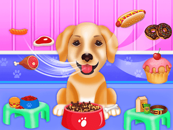 Image 1 for Labrador Pet Dog Daycare
