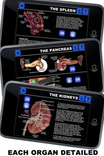 Image 0 for Anatomy 3D - Organs