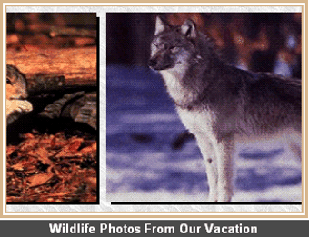 Image 0 for Cara-Pic