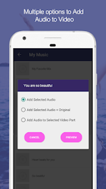 Imagen 3 para Add Audio to Video : Audi…