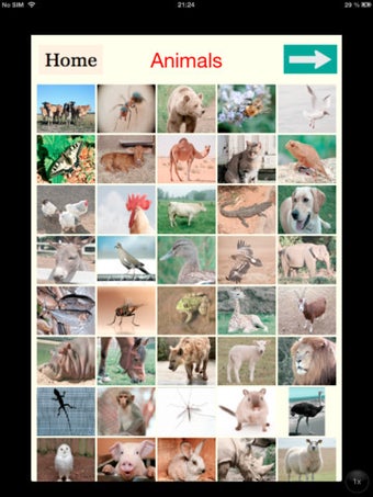 Image 2 for Learning Amharic