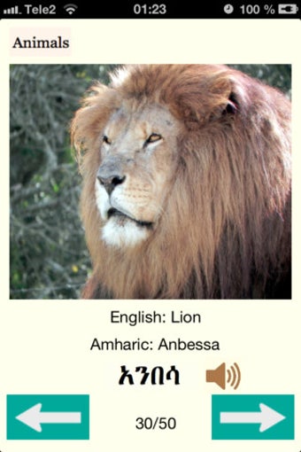 Image 7 for Learning Amharic