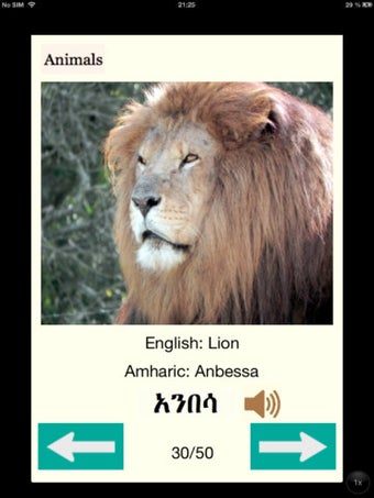 Image 1 for Learning Amharic