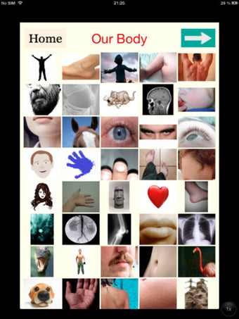 Image 3 for Learning Amharic