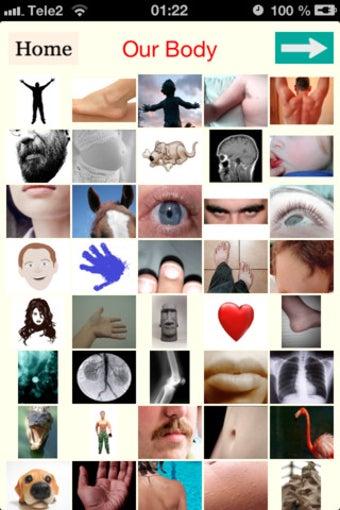 Image 2 for Learning Amharic