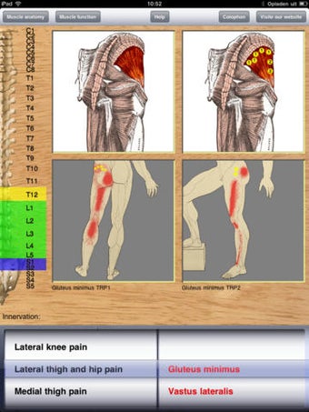 Image 0 for Dry Needling