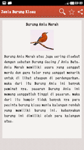 Image 1 for Jenis Burung Kicau