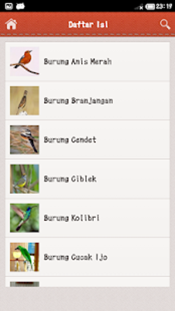 Image 3 for Jenis Burung Kicau
