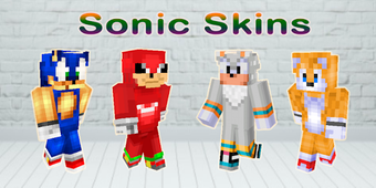 Imagen 0 para Hedgehog Sonic Skins Mine…